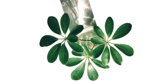 Low blue-light lighting in rooms